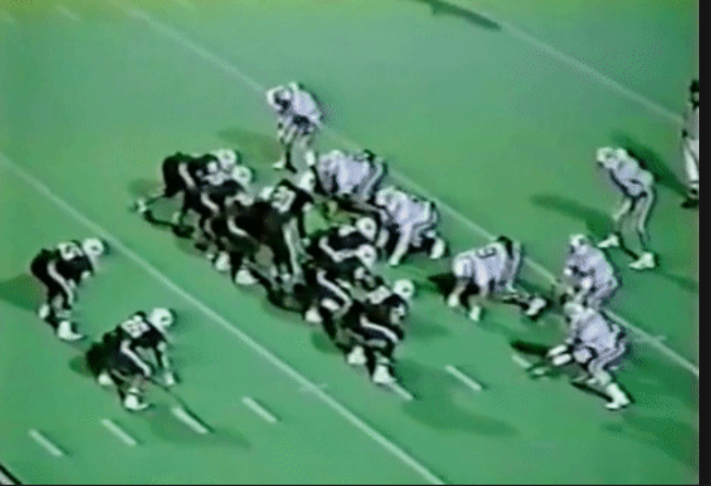 1988 Permian Panthers — Odessa high school football
